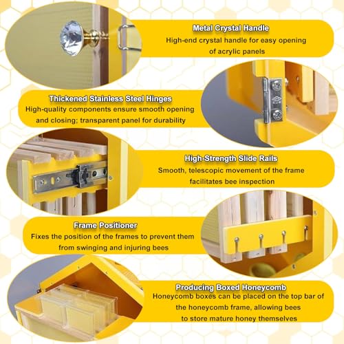 Kit de démarrage d'apiculture hexagonal ruche murale avec fenêtres en acrylique - 6