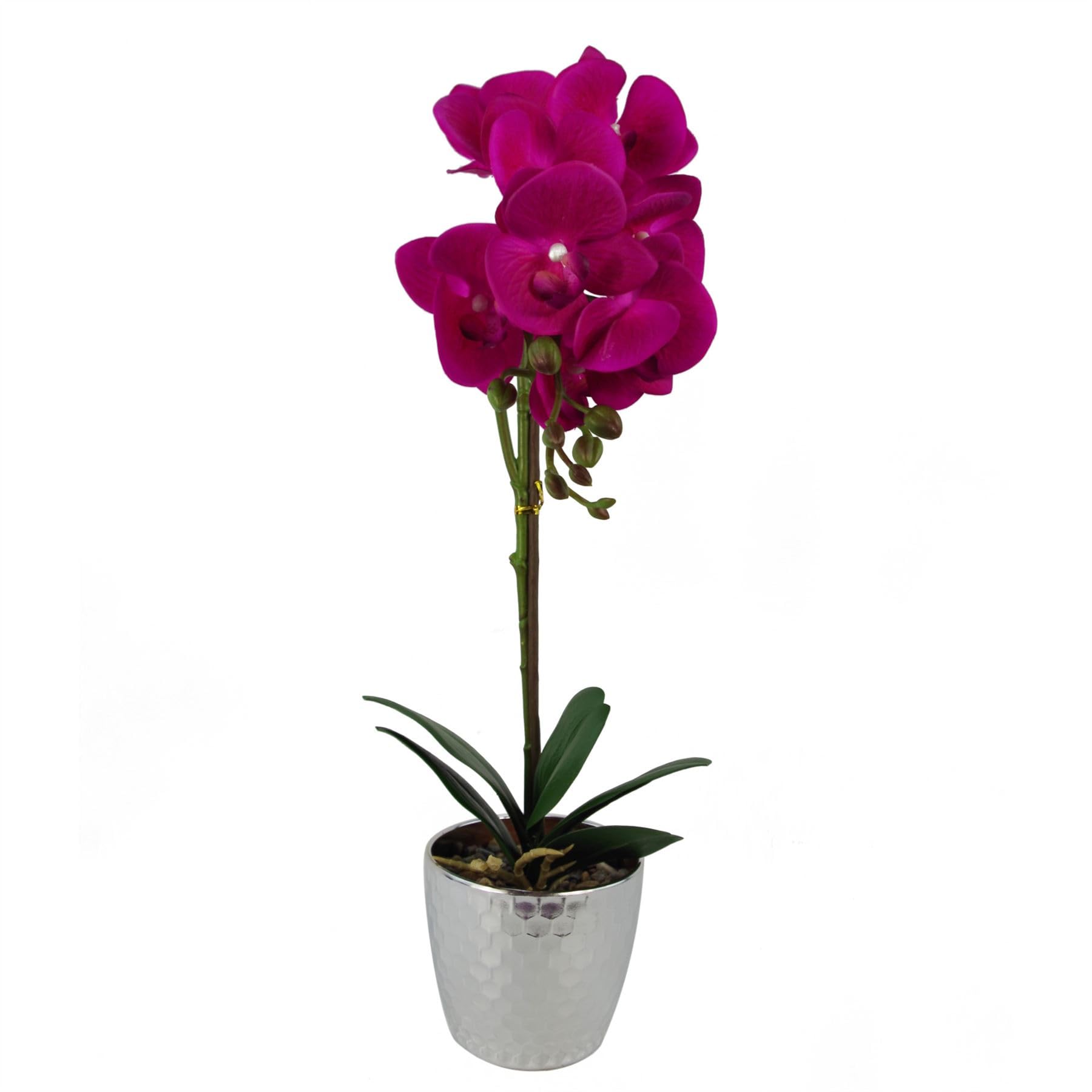 50cm Artificial Phalaenopsis Orchid - Dark Pink - Real Touch Flowers