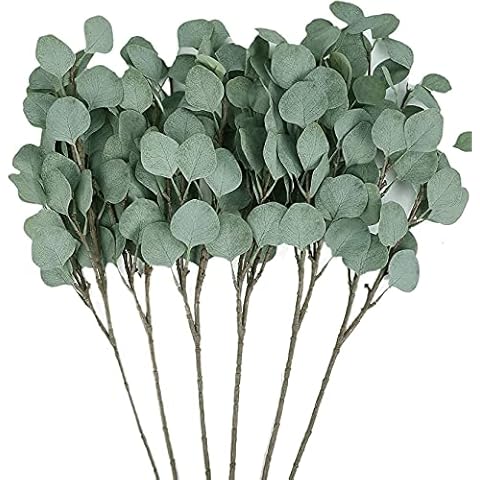 Peoxio 3 Pcs Artificial Silver Dollar Eucalyptus Leaf Spray in Green 25.5" Tall Artificial Greenery Holiday Greens Greenery For Party Home Wedding Decor (Green) Cover