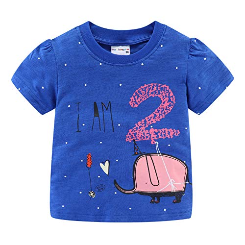 Image of Mud Kingdom Little Girls Birthday Shirt Long Sleeve Cute Cartoon