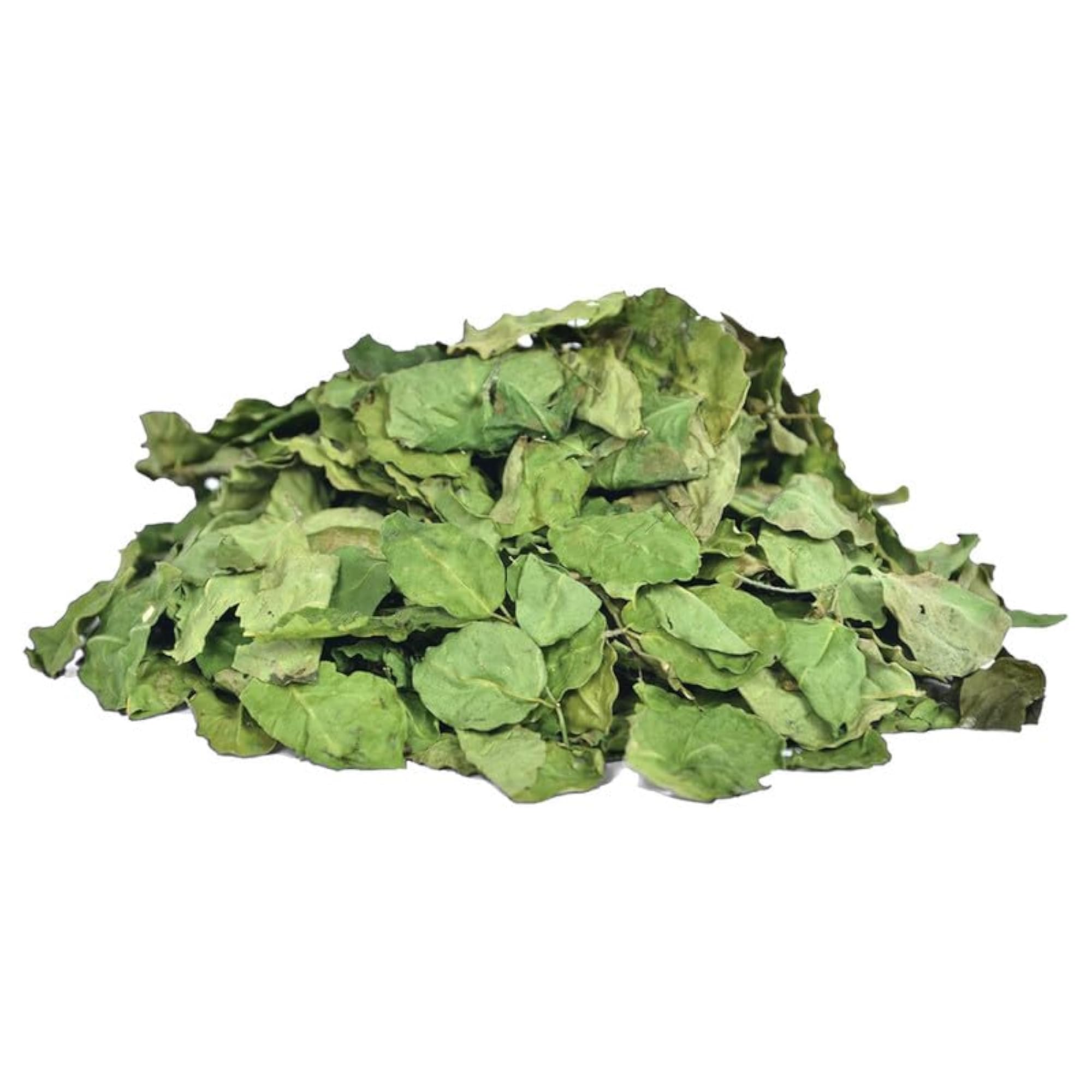 Mewar Impex Moringa Leaves 400 Gm, Dried Moringa Leaf