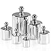 Obecome 6Pcs 5g 10g 2x20g 50g 100g Grams Precision Steel Calibration Weight Kit Set with Tweezers for Balance Scale