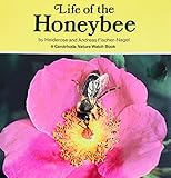 Life of the Honeybee (Nature Watch) (English and German Edition)