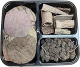Aquarium 150er Set mit Tanninen für gesundes Wasser - Erlenzapfen Seemandelbaumblätter Seemandelbaumrinde - Catappa-Leaves Naturprodukte