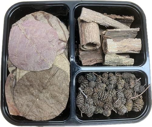 Catappa-Leaves Aquarium 150er Set mit Tanninen für gesundes Wasser - Erlenzapfen Seemandelbaumblätter Seemandelbaumrinde Naturprodukte
