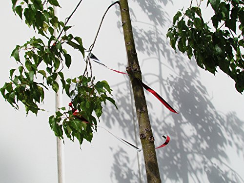 Bird B Gone Mmft-050 Flash Tape Bird Deterrent 1" X 50 ', Pack Of 1 #TOP2