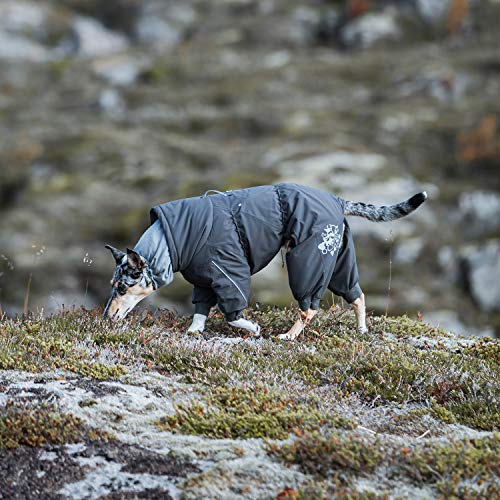 Hurtta Extreme Overall, Dog Snowsuit, Blackberry, 22M #TOP2
