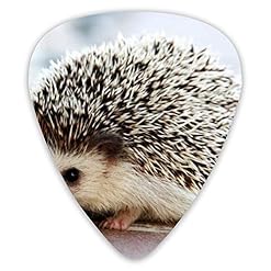 Médiators pour guitare Cute Baby Hedgehog Premium Picks Sampler 12 Packs – Variety Guitar Picks Plectrums - Les Beatles, Paul McCartney, John Lennon, RIngo Starr, George Harrison