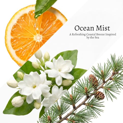 Image of COCORRINA Reed Diffuser Refill, Ocean Mist, 3.38 fl oz, 6 Reeds
