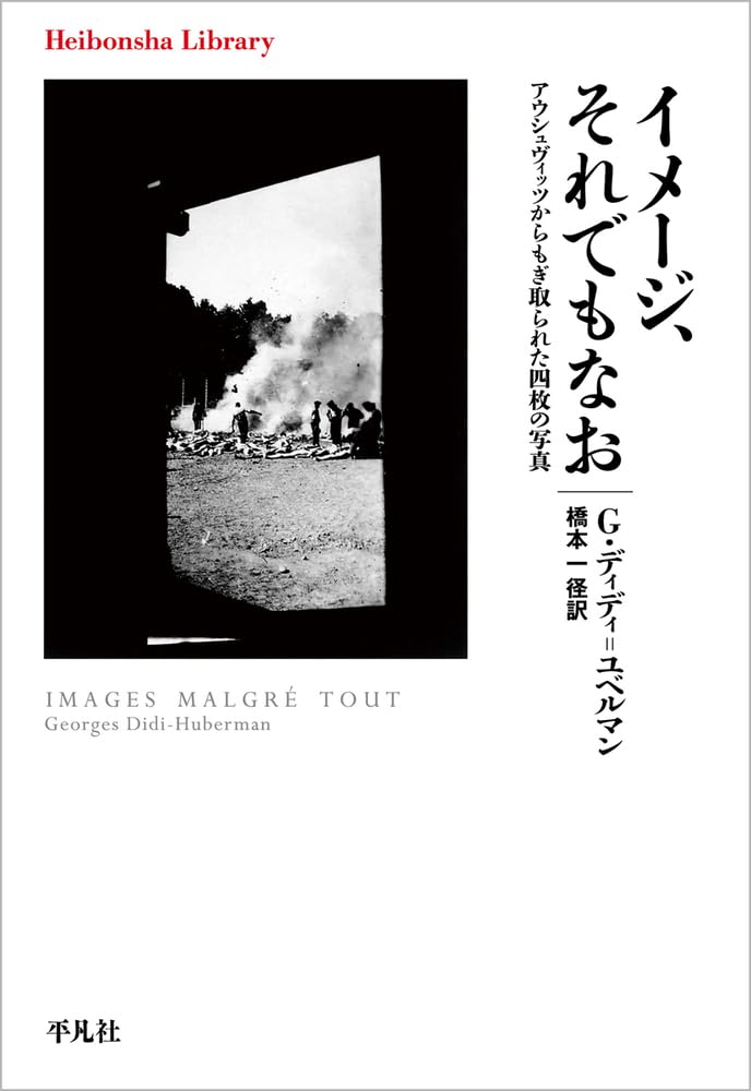 イメージ、それでもなお
