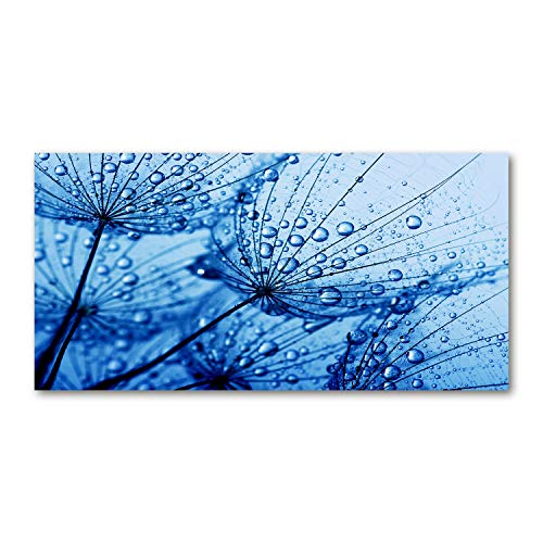 Crédence de cuisine en verre trempé 100x50 cm bleu design pissenlit élégant Tulup