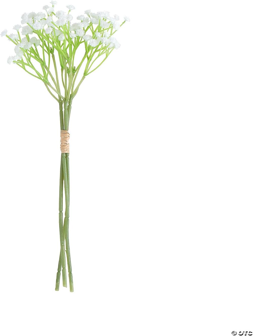 Gajula.Enterprises Baby’s Breath Stems - 6 Pc.