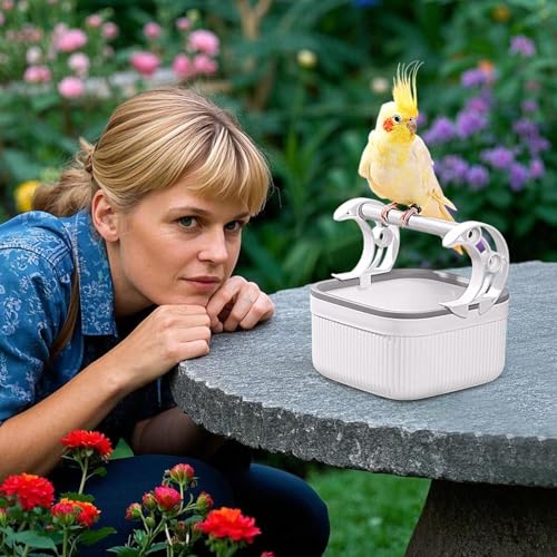 Support de jeu avec boîte amovible pour perruches et grand perchoir à oiseaux de table - 3