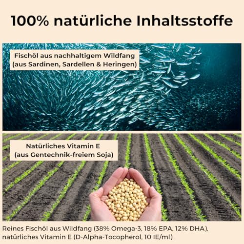 Dog-Native Wildfischöl für Hunde, Omega-3 Öl für Fell & Haut, Fischöl aus Wildfang, Barföl mit Vitamin E, Lachsöl Alternative in dunkler Glasflasche, 500ml