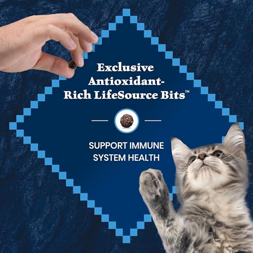Image of Blue Buffalo Wilderness High-Protein & Grain-Free Dry Food for Kittens, Natural Ingredients with DHA for Cognitive Development, Salmon Recipe, 5lb Bag