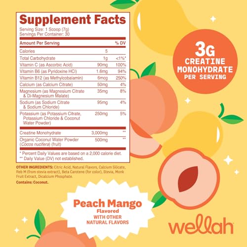 Image of Wellah Creatine + Electrolytes Powder (Peach Mango) 30 Servings | Hydration Drink Mix with 3g of Creatine Monohydrate