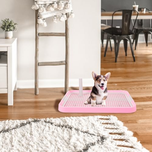 Toilettes structure deux couches avec grille détachable pour chiot