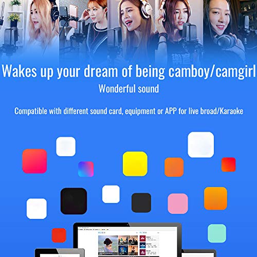 lifcasual TAKSTAR TAK35 Microfone de Gravação Profissional Condensador Cardioide Mic com Metal Winds