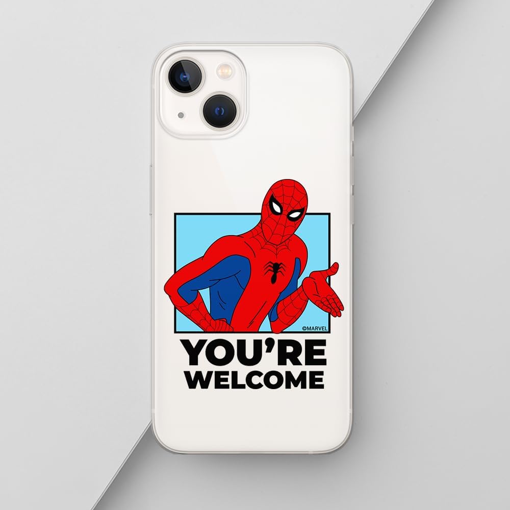 ERT GROUP Mobile Phone case for iPhone 13 Original and Officially Licensed Marvel Pattern Spider Man 030 optimally adapted to The Shape of The Mobile Phone, Partially Transparent