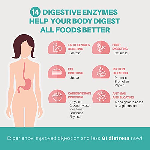 Pure-Food-Digest-American-Sourced-Probiotics-Digestive-Enzymes-Prebiotics-Digestive-Health-Supplement-for-Better-Digestion-Immunity-Natural-Gas-Relief-Belly-Bloating-IBS-30-Capsules