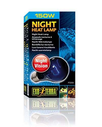 Exo Terra Night Heat Lamp