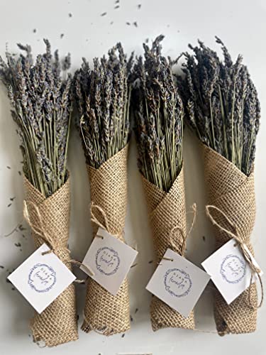 Diara Dried Lavender Bundles (4 Bundles Pack) (Mini Stems)| Natural Dried Lavender Flowers for DIY, Crafts, Home Fragrance, Wedding, Party, Decoration, Photo Props, Gift, Thanksgiving