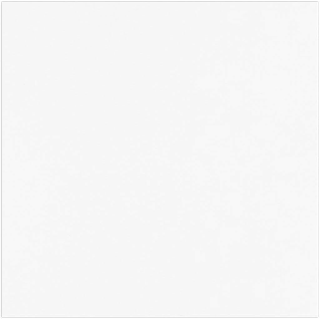 LUXPaper 12" x 12" Paper | White | 80lb. Text | 100% Recycled | 250 Qty