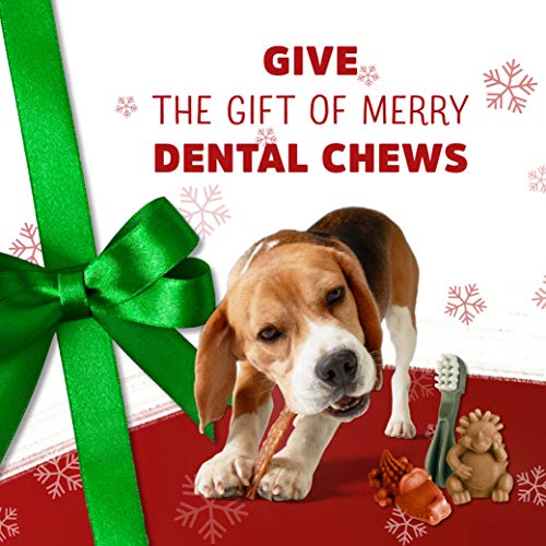 Whimzees Naturale Dentale Cane Mastica Lunga