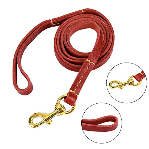 Petroad Leather Dog Leash With 6 Feet Long And 0.6 Inches Wide Large Medium Small Dogs Training And Walking #TOP1