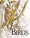 Drawing and Painting Birds