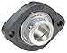 Ina Flange Bearing 2-Bolt Ball 30mm Bore