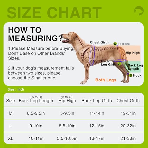 KISFLY Joelheira Para Cão Com Ligamento Cruzado Anterior Rompido, Luxação Da Patela, Displasia, Artr