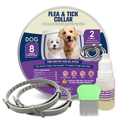 Protect Your Pup Against Pesky Fleas Top 10 Sobaken Flea Collars for