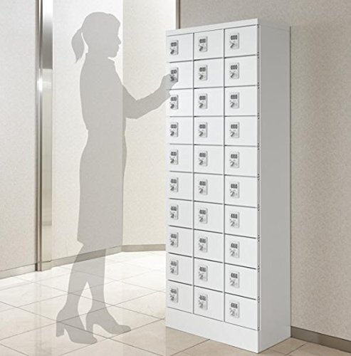 Amazon.co.jp: SEIKO FAMILY（生興） 小物入れロッカー 3列10段30人用