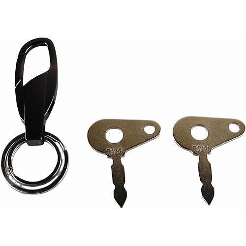 AGP.1978 2 llaves de encendido con pieza de llavero T250 compatibles con Massey Ferguson 231 Tractor Harvester Case New Holland Skytrak 960128M91