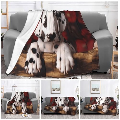 Couverture en flanelle 203x152 cm super douce et légère pour canapé