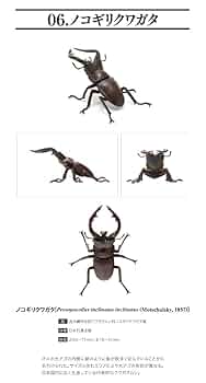 くわがた虫　金属模型　古物 くわがた虫 金属模型 古物