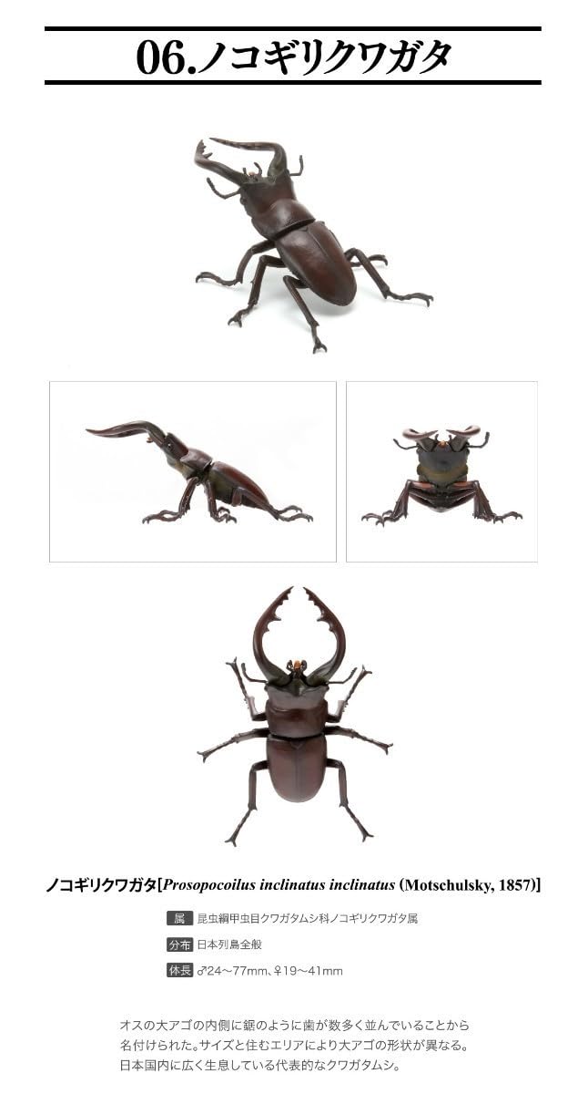 【専用】TOKUKO 1er VOL　チュニック　クワガタ　カマキリ　昆虫 TOKUKO 1er VOL トクコ 前開き チュニック 羽織物 動物 - メルカリ