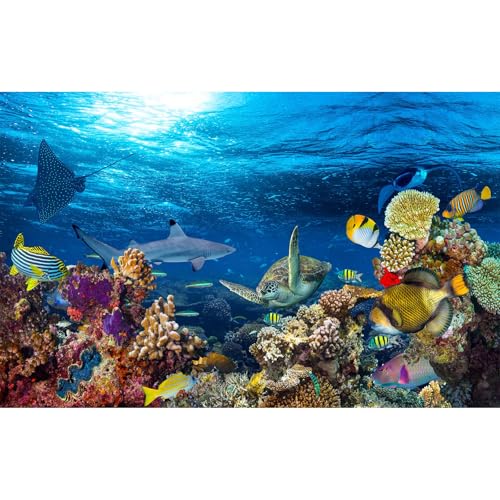Under The Sea Aquarium Background Tropical Fish Colorful Coral Reef