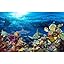 Undersea Blue