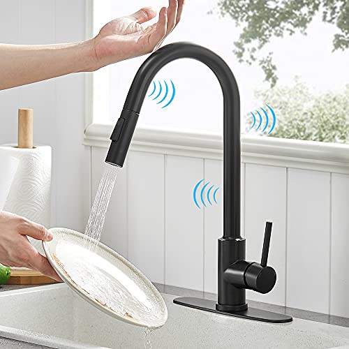 The 10 Best Touch Activated Kitchen Faucet Reviews & Comparison Glory