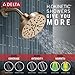 Delta Nicoli 14 Series H2Okinetic Shower Faucet Set, Brushed Gold Shower Head and Handle Set, Valve Trim Kit, Champagne Bronze 142749-CZ (Shower Valve Included)