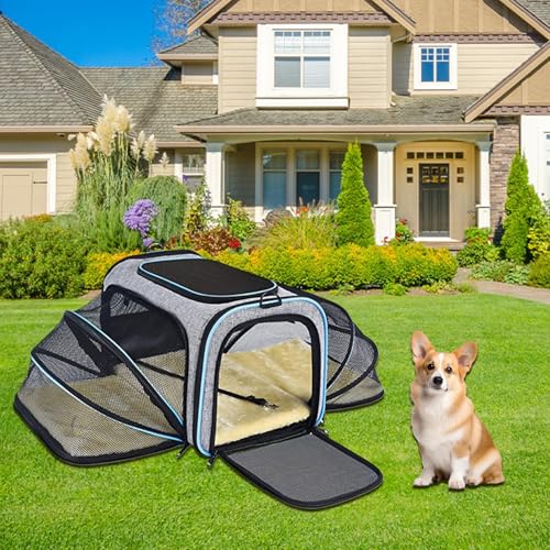 Sac de voyage pour chien idéal en train et voiture avec extensions souples
