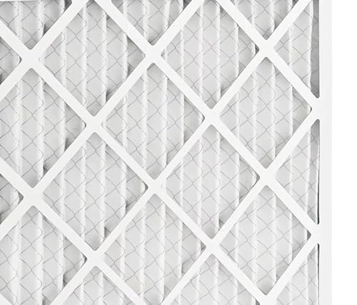 BNX TruFilter 20x24x1 MERV 10 (2-Pack) AC Furnace Air Filter - MADE IN USA - Pleated Air Conditioner HVAC AC Furnace Filters - Removes Odor, Mold, Bacteria, Smoke