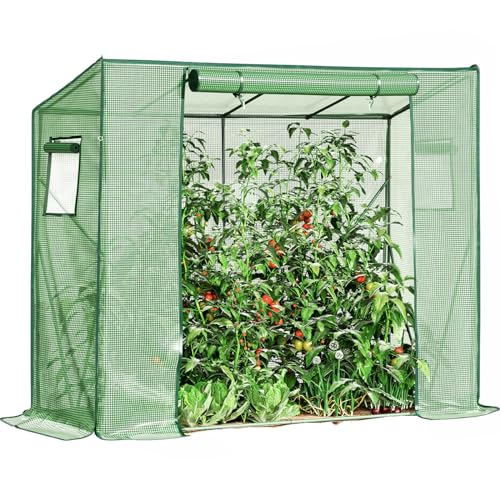 Gewächshaus Test 2024 die besten 7, Testsieger und Vergleiche