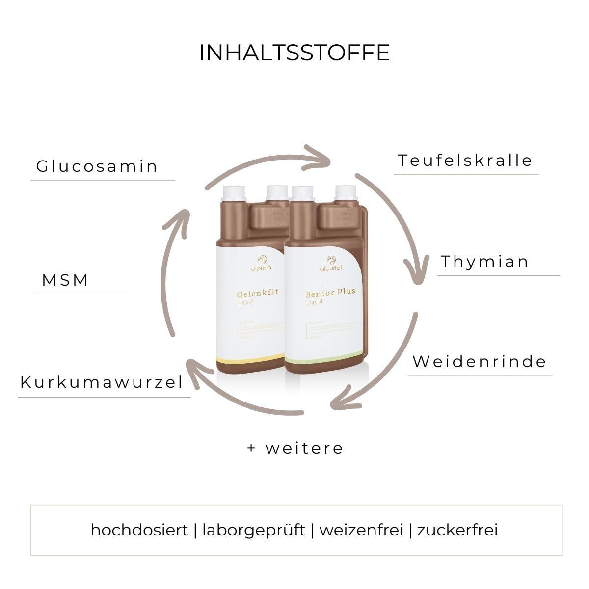 Senior Bundle – Ergänzungsfuttermittel für ältere Pferde mit fütterungsbedingtem Mehrbedarf – Kombination aus Senior Plus & Gelenkfit – vom Tierarzt entwickelt