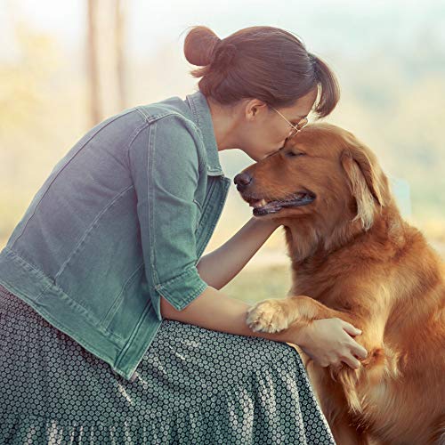 Ida Plus - Puur biergistpoeder, 3 kg, 100% natuurproduct voor honden, katten en paarden, voedingssupplement voor… - Image 6