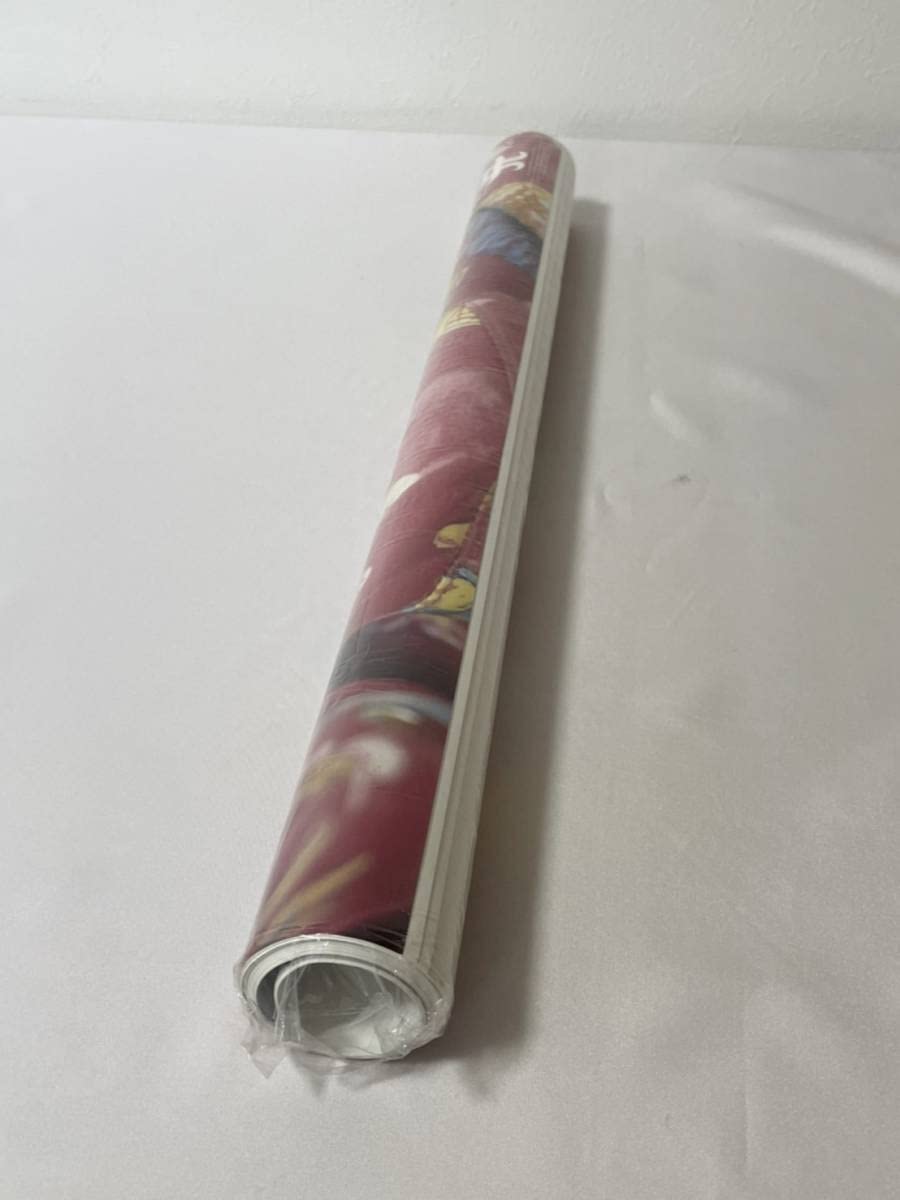 浜崎あゆみ ビーチサンダル US11 (29cm相当) 浜崎あゆみ ビーチサンダル US11 (29cm相当) 浜崎あゆみ ビーチ