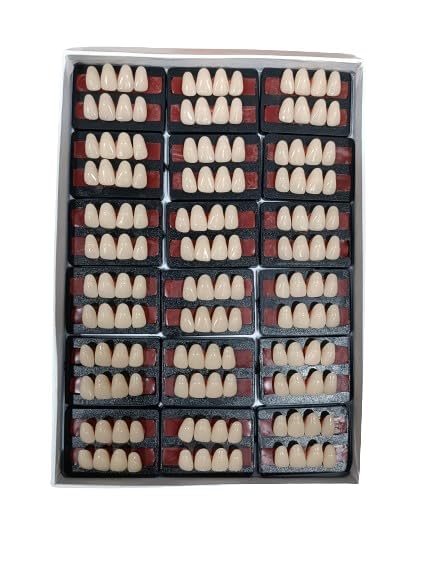 Dental Leo Dent Acrylic Teeth Kit Sets Shade Of Teeth (Upper 4-26)-image-25