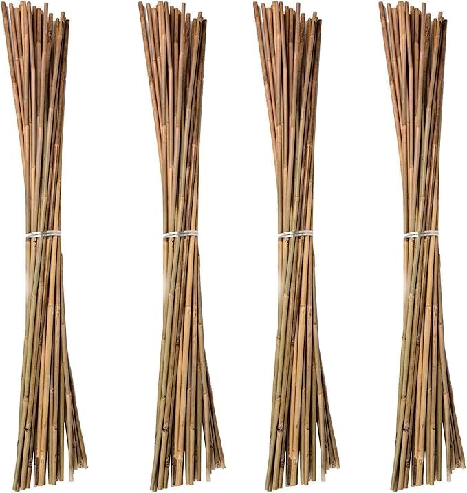 Suinga Pack 200 Tutores de Bambú 200 cm (10-12 mm) - Varillas Resistentes para Plantas, Árboles y Hortalizas | Soporte para Plantas, Tomates | Tutores para Plantas trepadoras